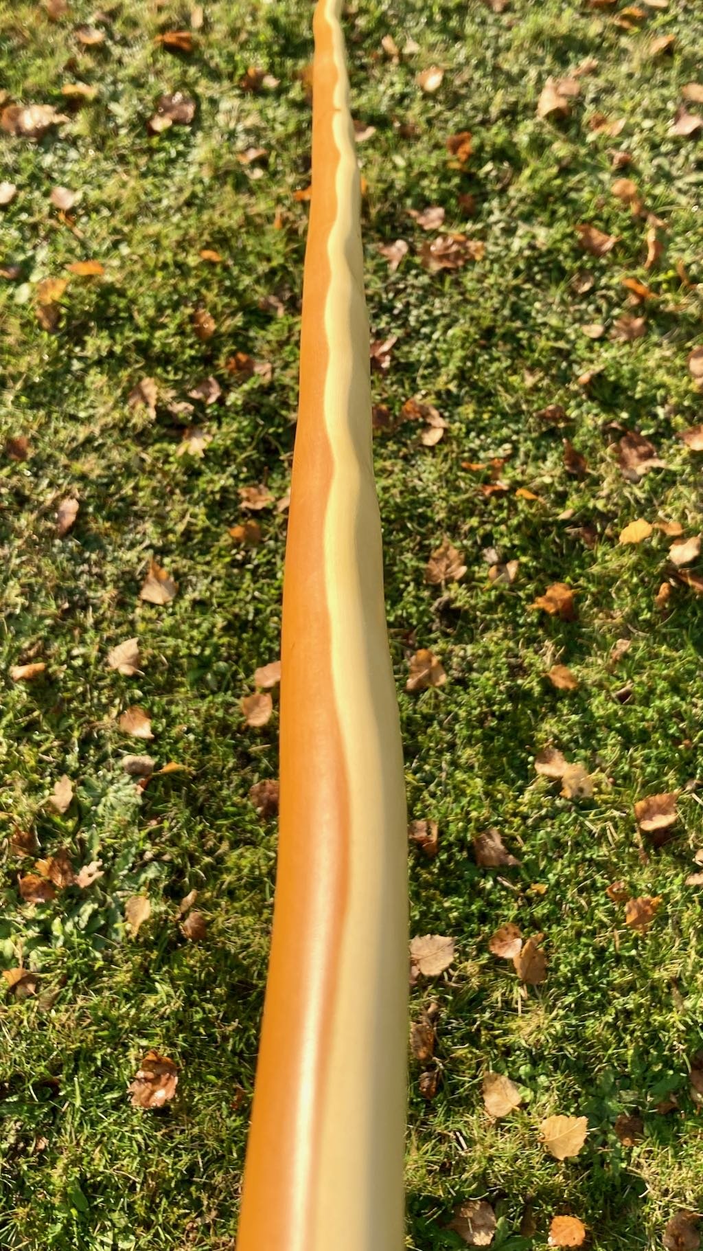 Yew longbows 2024